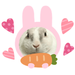 Sticky rice the bunny – LINE stickers | LINE STORE