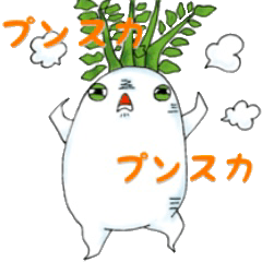 Kimokawa vegetable radish