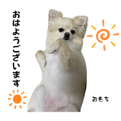 OMOCHI_20230719153041
