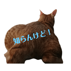 sakura_20230719143814