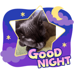 tsubaki_20230719144613