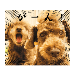 balveniehaus_20230720080956