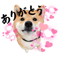 saori_20230719192401