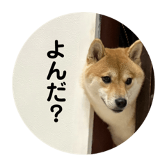 AOi_20230720005526