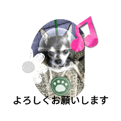 Smile_20230719174038