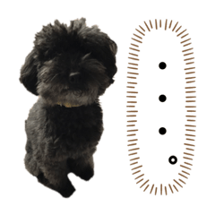 maichi_20230719201837