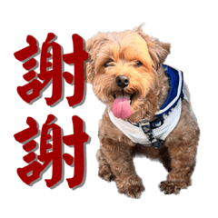 Seijuro_20230720003257