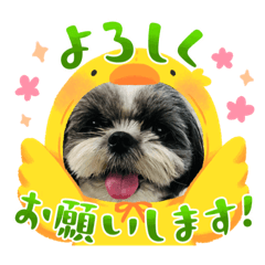Hana_20230719213646