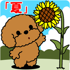 Toy poodle pop-up stamp "Summer"