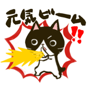 chibisuke_20230720081250