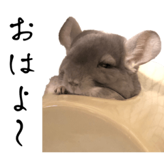 TOTOSAMA_20230719232900