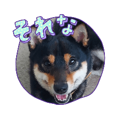 Tom_20230720