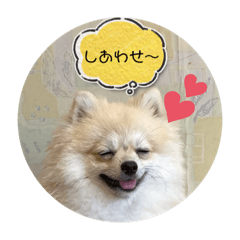 nao_20230720160925