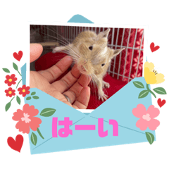 aoi_20230720162601