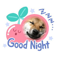 jinjin_20230720171404