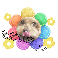 hana_20230720153106
