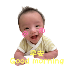 仔仔の日常～