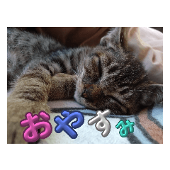 megumi_20230720194804