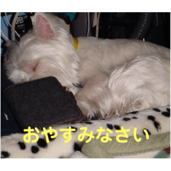 TOMOMI_20230720180808