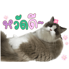 Arunwatee_20230720204035