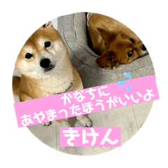 ごま、まめ
