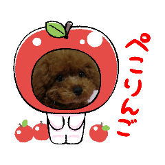 sakura_20230721002055