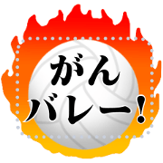 Hot volleyball frames!