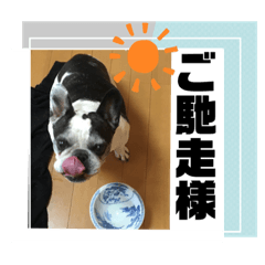 tsubaki_20230721145300