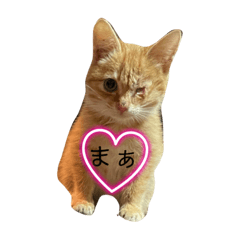 Kinaco_20230721160202