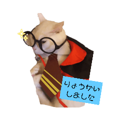 suzu_20230721151951