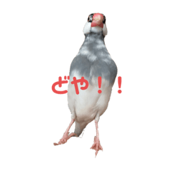 aoi_20230721155950