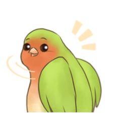 Matcha the little Bird