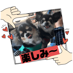 tsubaki_20230721191436