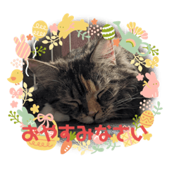 kana_new20230721