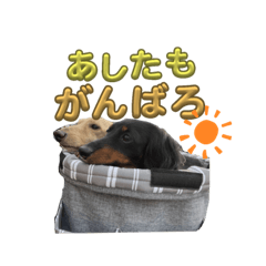 SUZU_20230721201615