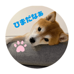 kana_20230721175511