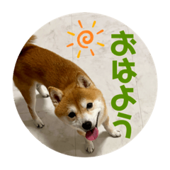 kana_20230722020037