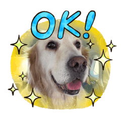 petsitter  vicky_20230722112657