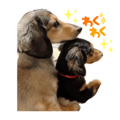 popouru_20230722141305