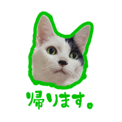 YuKa_20230722111954