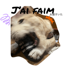 Minorin_20230721145606