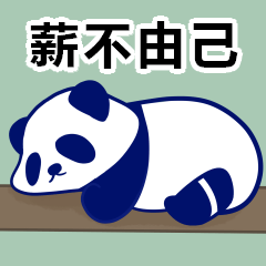 Panda eat bamboo - Money