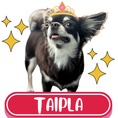 WOOFME WITH TAIPLA