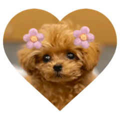 RIRI_20230722002333
