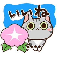 Sticker of American shorthair (Custom)