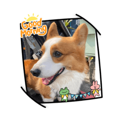 大摳呆日常用語3