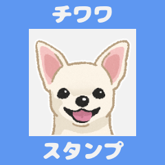 Chihuahua - smooth coat(jp)
