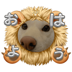 Sakura_20230722152103