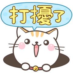 可愛貓小花♡大字(打擾了) – LINE貼圖 | LINE STORE