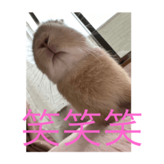 shuriko_20230723094000